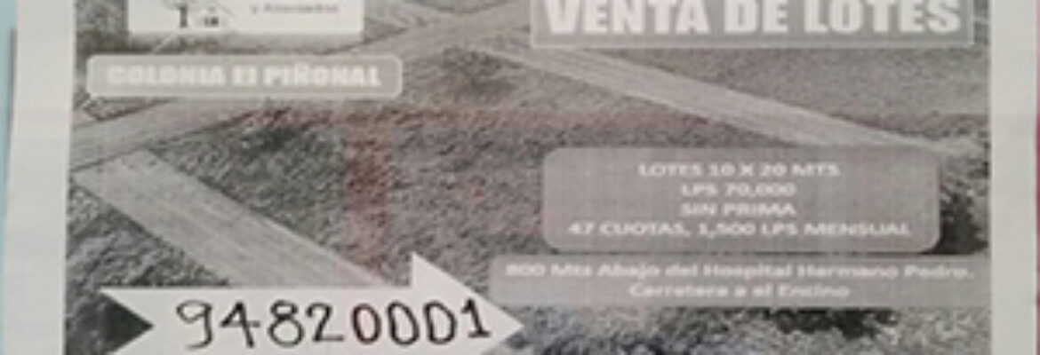 Venta de Lotes (Grupo Ramirez y Asociados)