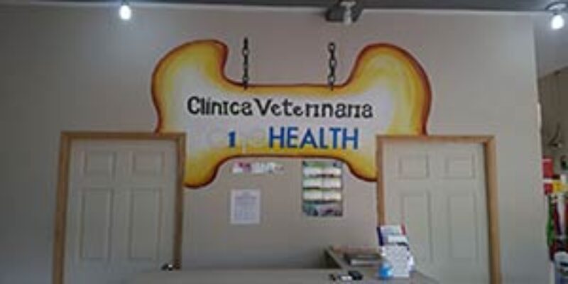 Clinica Veterinaria One Health