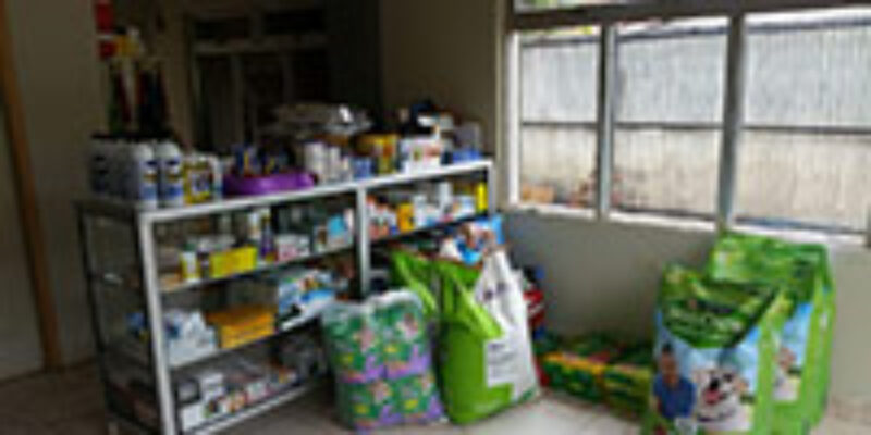 Clinica Veterinaria One Health