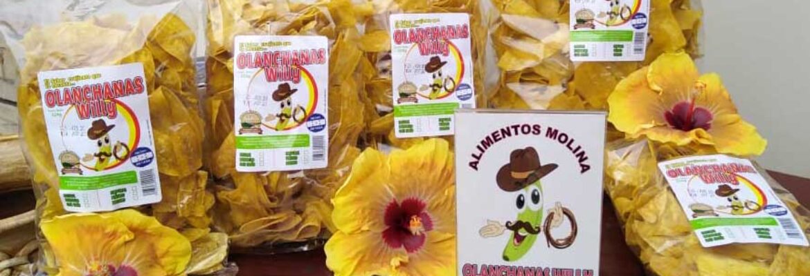 Alimentos Molina – OLANCHANAS WILLY