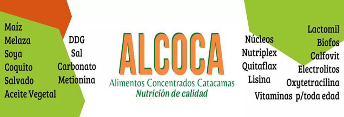 Alcoca