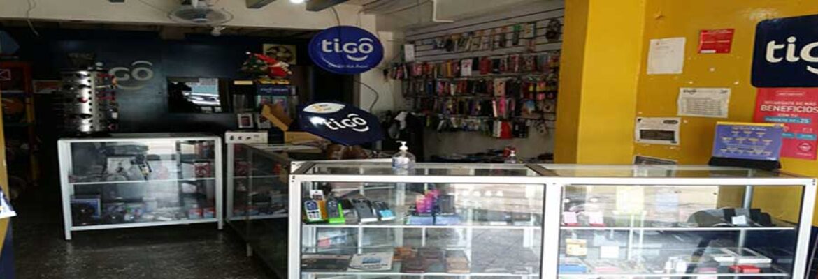 Electronica Hernandez #1